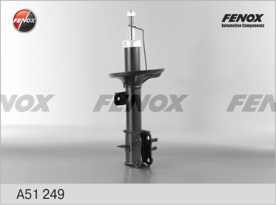 Fenox A51249 - Амортизатор autospares.lv