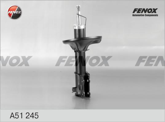 Fenox A51245 - Амортизатор autospares.lv