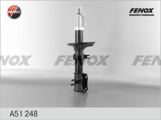 Fenox A51248 - Амортизатор autospares.lv