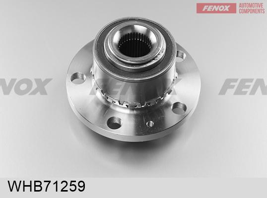 Fenox WHB71259 - Ступица колеса, поворотный кулак autospares.lv