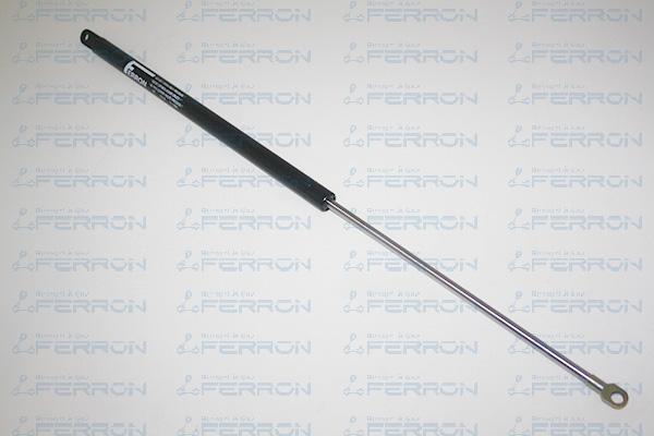 FERRON 187 - Газовая пружина, капот autospares.lv