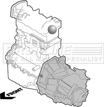 First Line FEM4341 - Подушка, опора, подвеска двигателя autospares.lv