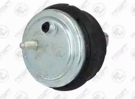 Fortune Line FZ90649 - Подушка, опора, подвеска двигателя autospares.lv