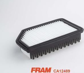 FRAM CA12489 - Воздушный фильтр, двигатель autospares.lv