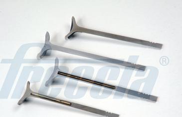 Freccia R8075/BMARNACR - Выпускной клапан autospares.lv