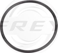 FREY 800511401 - Прокладка, дифференциал autospares.lv