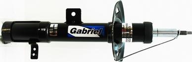 Gabriel-MX USA79220 - Амортизатор autospares.lv