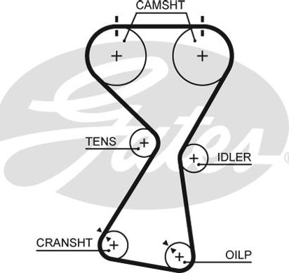 Gates 5534XS - Зубчатый ремень ГРМ autospares.lv
