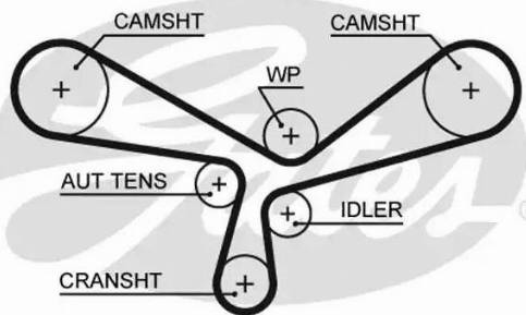 Gates 5520XS - Зубчатый ремень ГРМ autospares.lv