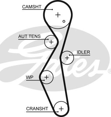 Gates 5672XS - Зубчатый ремень ГРМ autospares.lv