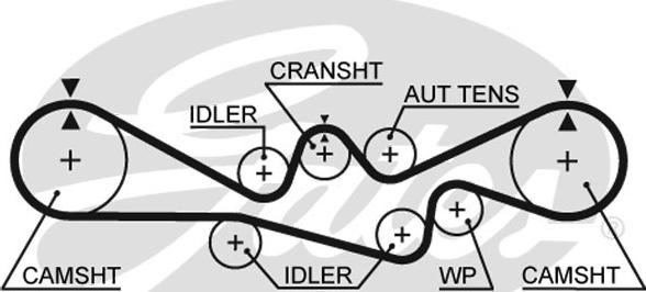 Gates 5537XS - Зубчатый ремень ГРМ autospares.lv