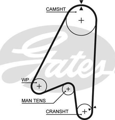 Gates 5239 - Зубчатый ремень ГРМ autospares.lv