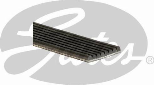 GATES-AU 8PK1701RPM - Поликлиновой ремень autospares.lv