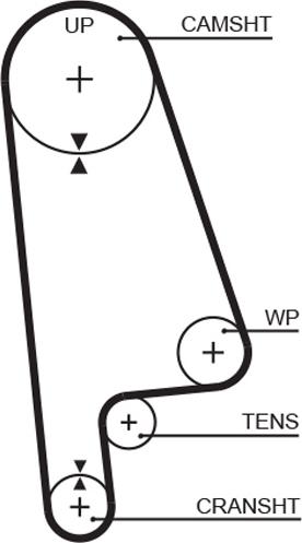 GATES-AU T145 - Зубчатый ремень ГРМ autospares.lv