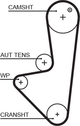 GATES-AU T1629 - Зубчатый ремень ГРМ autospares.lv