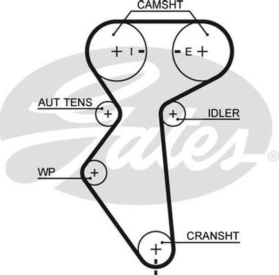 GATES-AU T310 - Зубчатый ремень ГРМ autospares.lv