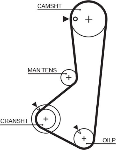 GATES-MX T155 - Зубчатый ремень ГРМ autospares.lv