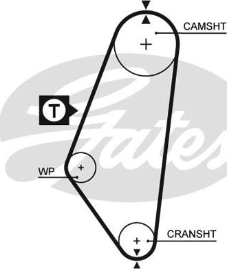 GATES-SEA T081 - Зубчатый ремень ГРМ autospares.lv