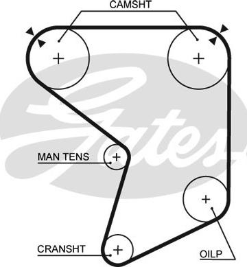 GATES-SEA T074 - Зубчатый ремень ГРМ autospares.lv