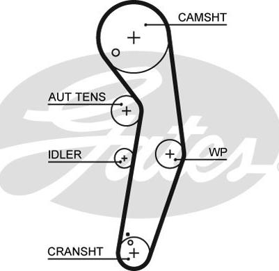 GATES-SEA T1547 - Зубчатый ремень ГРМ autospares.lv