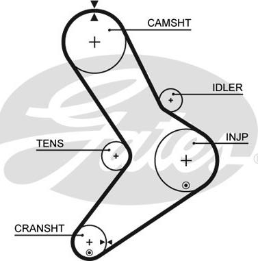 GATES-SEA T1555 - Зубчатый ремень ГРМ autospares.lv