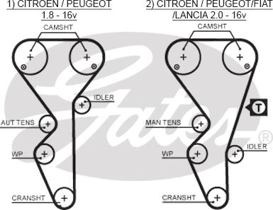 GATES-SEA T1504 - Зубчатый ремень ГРМ autospares.lv