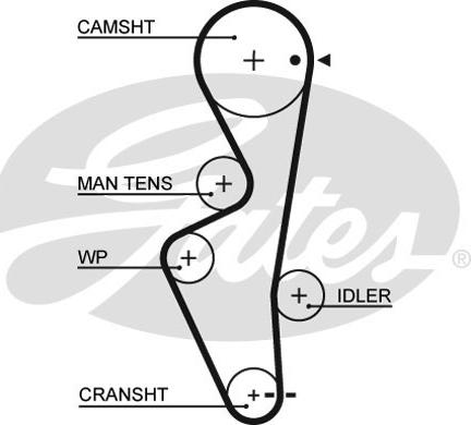 GATES-SEA T1659 - Зубчатый ремень ГРМ autospares.lv
