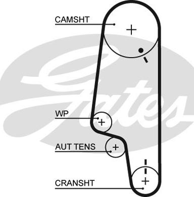 GATES-SEA T1069 - Зубчатый ремень ГРМ autospares.lv