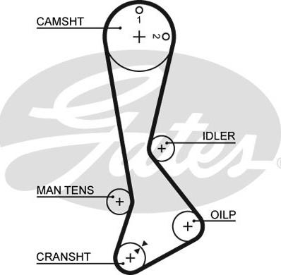 GATES-SEA T1102 - Зубчатый ремень ГРМ autospares.lv