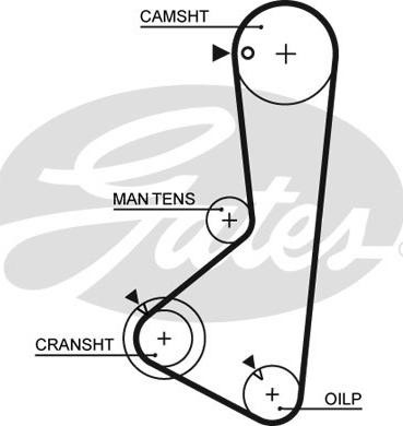 GATES-SEA T124 - Зубчатый ремень ГРМ autospares.lv