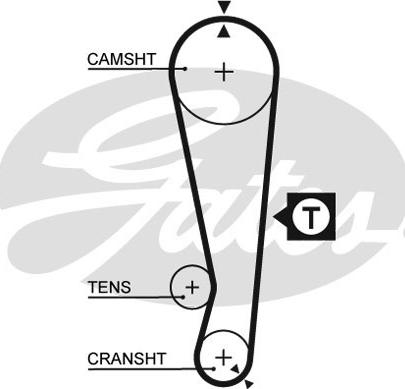 GATES-SEA T175 - Зубчатый ремень ГРМ autospares.lv
