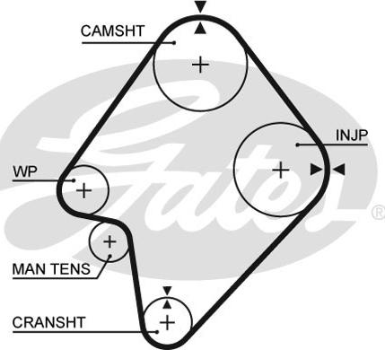 GATES-SEA T822 - Зубчатый ремень ГРМ autospares.lv