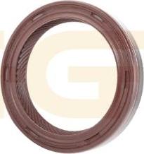 GGT SEKD029 - Уплотняющее кольцо, коленчатый вал autospares.lv