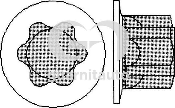 Guarnitauto 703801-1010 - Комплект болтов головки цилиндра autospares.lv