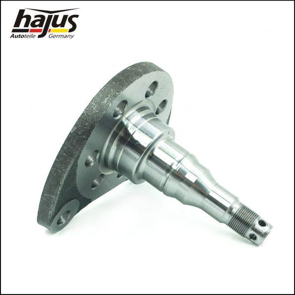 hajus Autoteile 4071063 - Осевая цапфа, балка моста autospares.lv