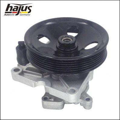 hajus Autoteile 4221033 - Гидравлический насос, рулевое управление, ГУР autospares.lv