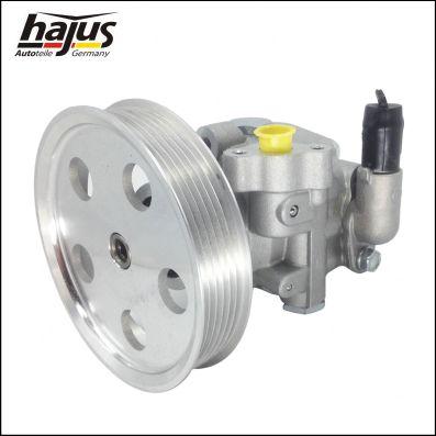 hajus Autoteile 4221024 - Гидравлический насос, рулевое управление, ГУР autospares.lv