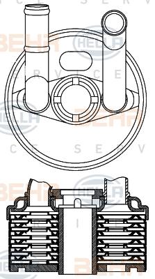 HELLA 8MO 376 797-001 - Масляный радиатор, автоматическая коробка передач autospares.lv