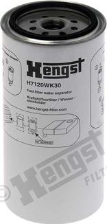 Hengst Filter H7120WK30 - Топливный фильтр autospares.lv