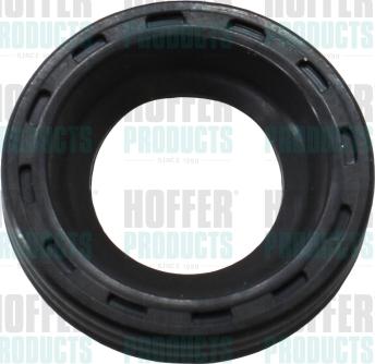 Hoffer 80298526 - Ремкомплект, распылитель autospares.lv