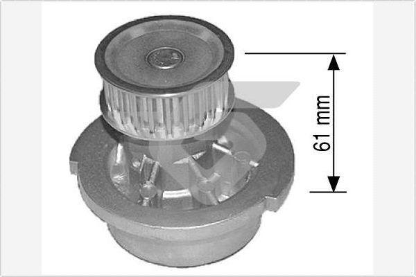 Hutchinson WP19 - Водяной насос autospares.lv