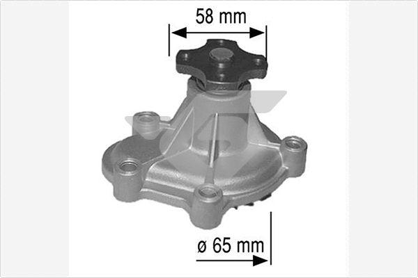 Hutchinson WP272 - Водяной насос autospares.lv