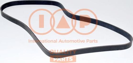 IAP QUALITY PARTS 140-14080 - Поликлиновой ремень autospares.lv