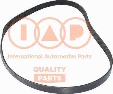 IAP QUALITY PARTS 140-17060 - Поликлиновой ремень autospares.lv