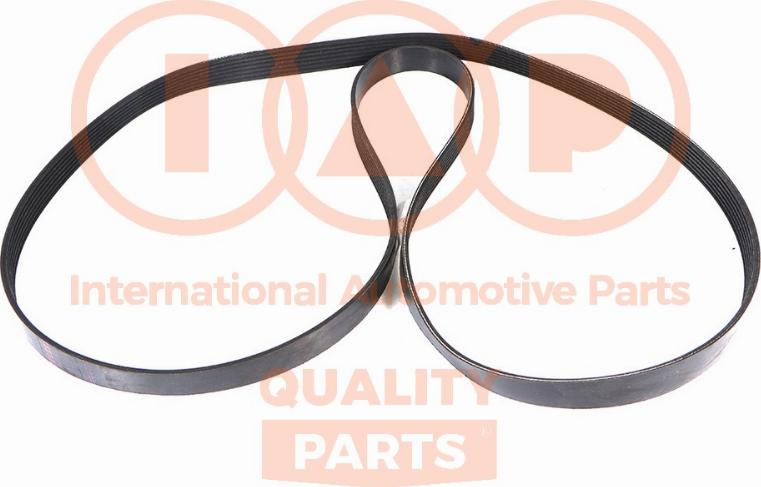 IAP QUALITY PARTS 140-17161 - Поликлиновой ремень autospares.lv