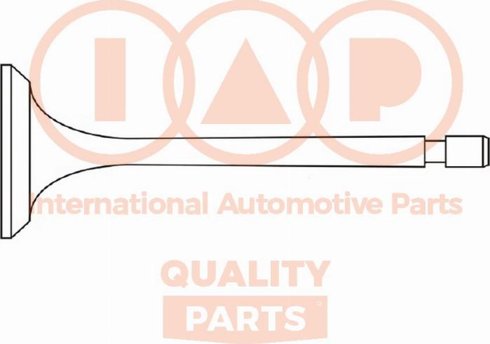 IAP QUALITY PARTS 110-52030 - Впускной клапан autospares.lv