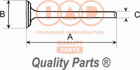 IAP QUALITY PARTS 110-13089 - Выпускной клапан autospares.lv