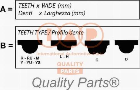 IAP QUALITY PARTS 128-11011 - Зубчатый ремень ГРМ autospares.lv