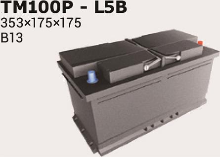 IPSA TM100P - Стартерная аккумуляторная батарея, АКБ autospares.lv