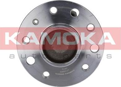 Kamoka 5500078 - Подшипник ступицы колеса, комплект autospares.lv